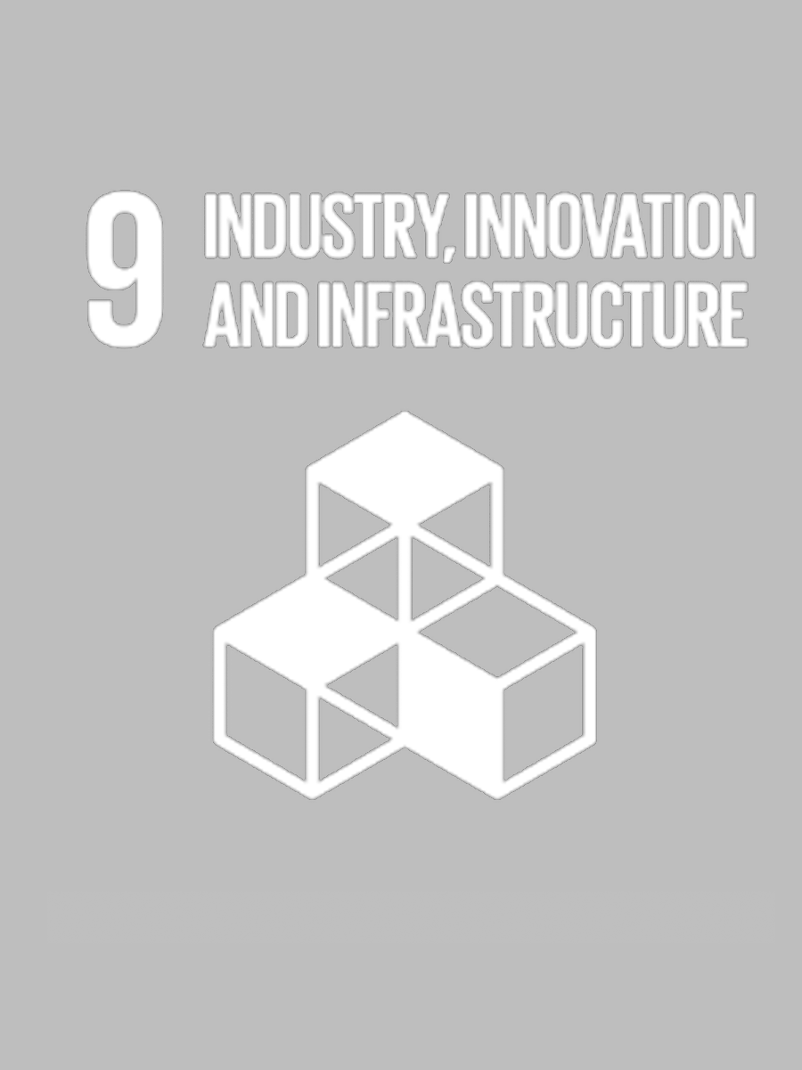 industry innovation and infrastructure