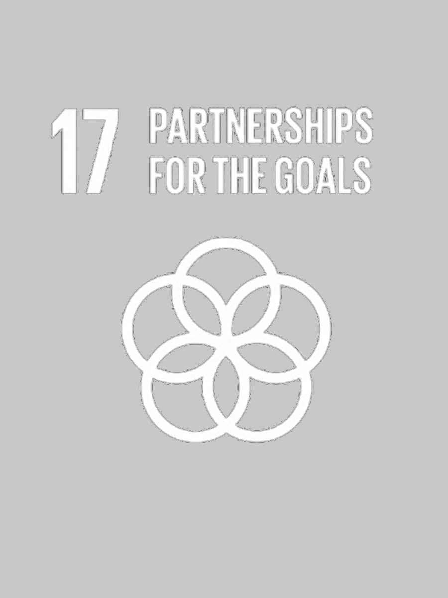 partnerships for the goals